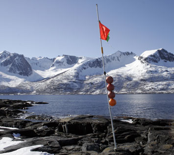 Baltsfjorden