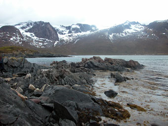 Baltsfjorden