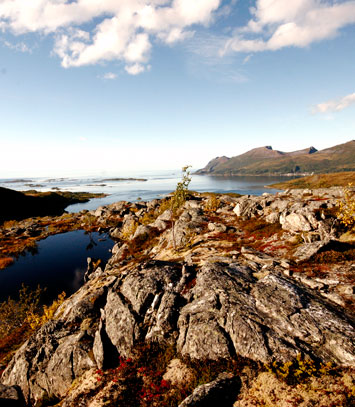 Bergsfjorden