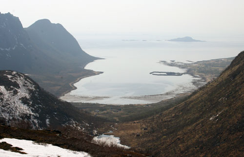 Grunnfarnes