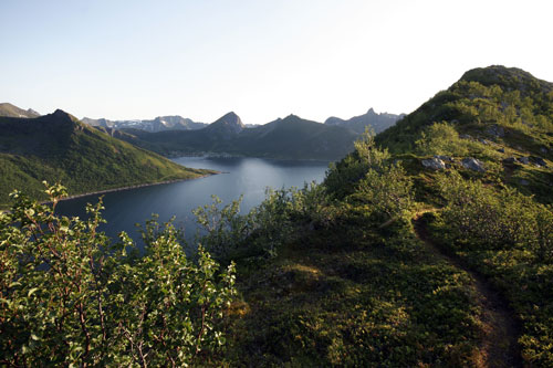 Fjordgaar